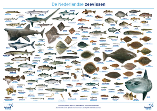 soorten2