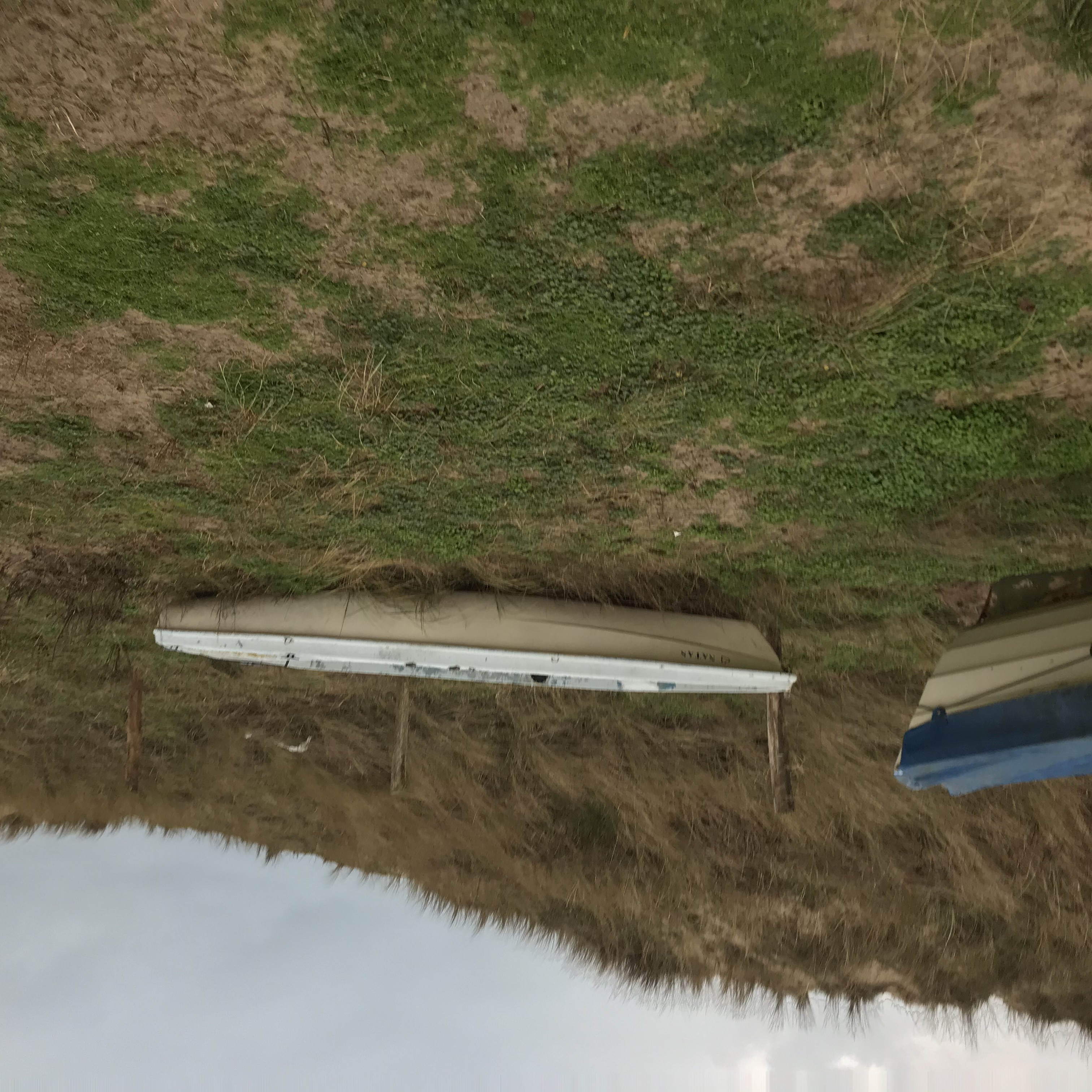 Boten zonder EG-nummer op groenstrook