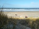 IMG_20230323_093240_HDR